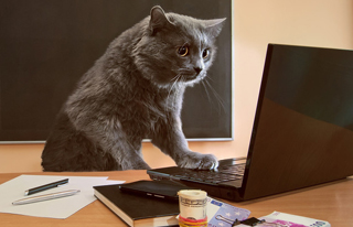 沈阳网页设计的时候需要注意什么？ 